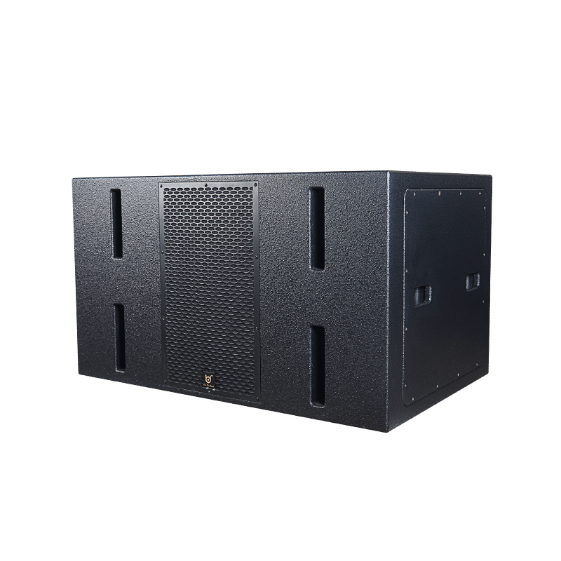 BDSOUND VR-218B Line Array Loudspeaker Subwoofer