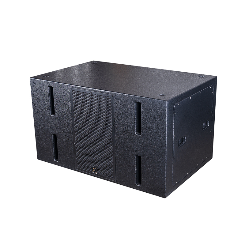 BDSOUND VR-218B Line Array Loudspeaker Subwoofer
