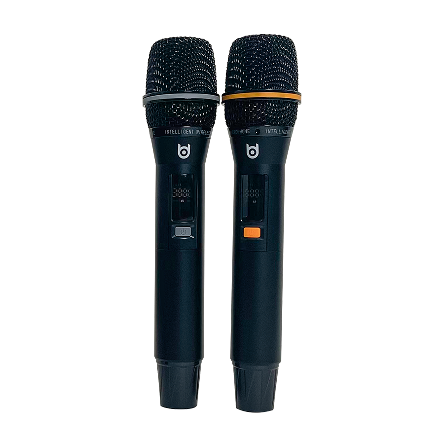 BDSOUND BD-H1002J Multifunctional Speaker