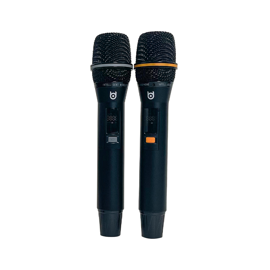 BDSOUND BD-WM2 Professional Wireless Microphone