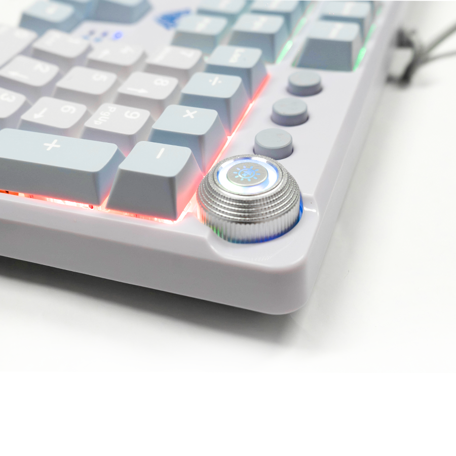 AULA F2088 Pro Mechanical Keyboard 