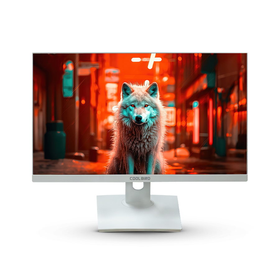 COOL Bird CD24-5U12 24-inch i5-512GB- All-in-One Computer