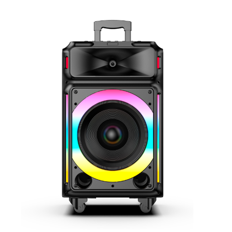 BDSOUND BD-H1552 Dual U-band wireless frequency microphone