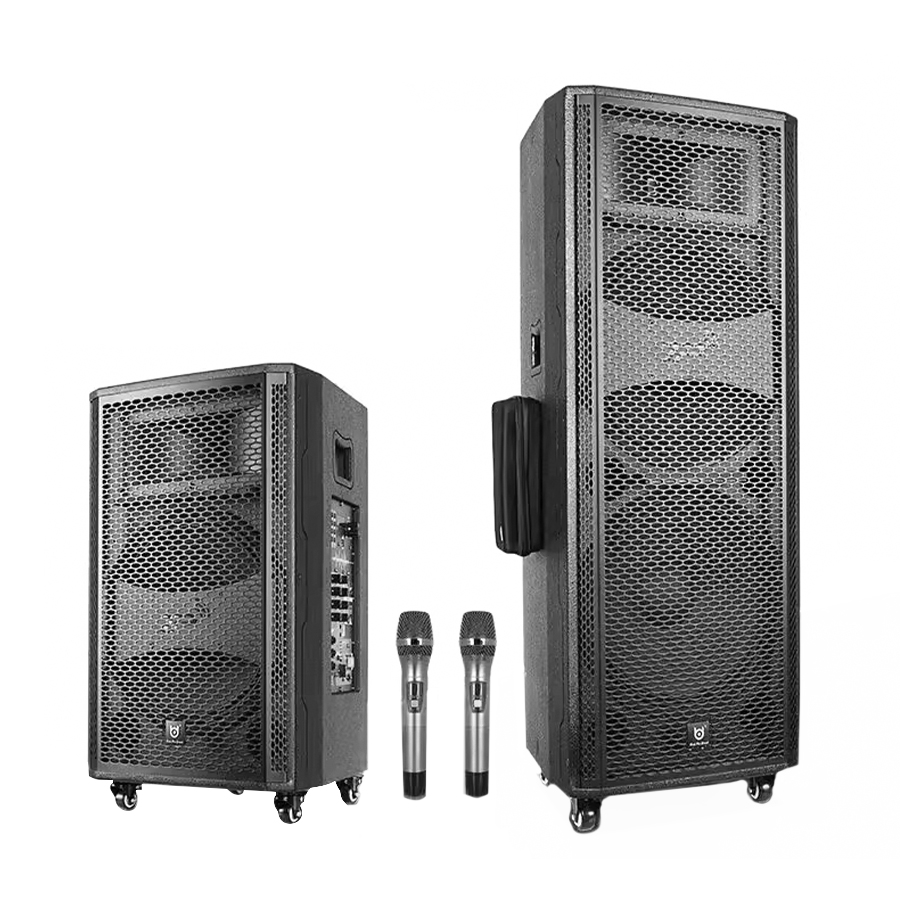 BD SOUND BD-H1533S Supports U-band Wireless Microphones and Dual Hand Microphones