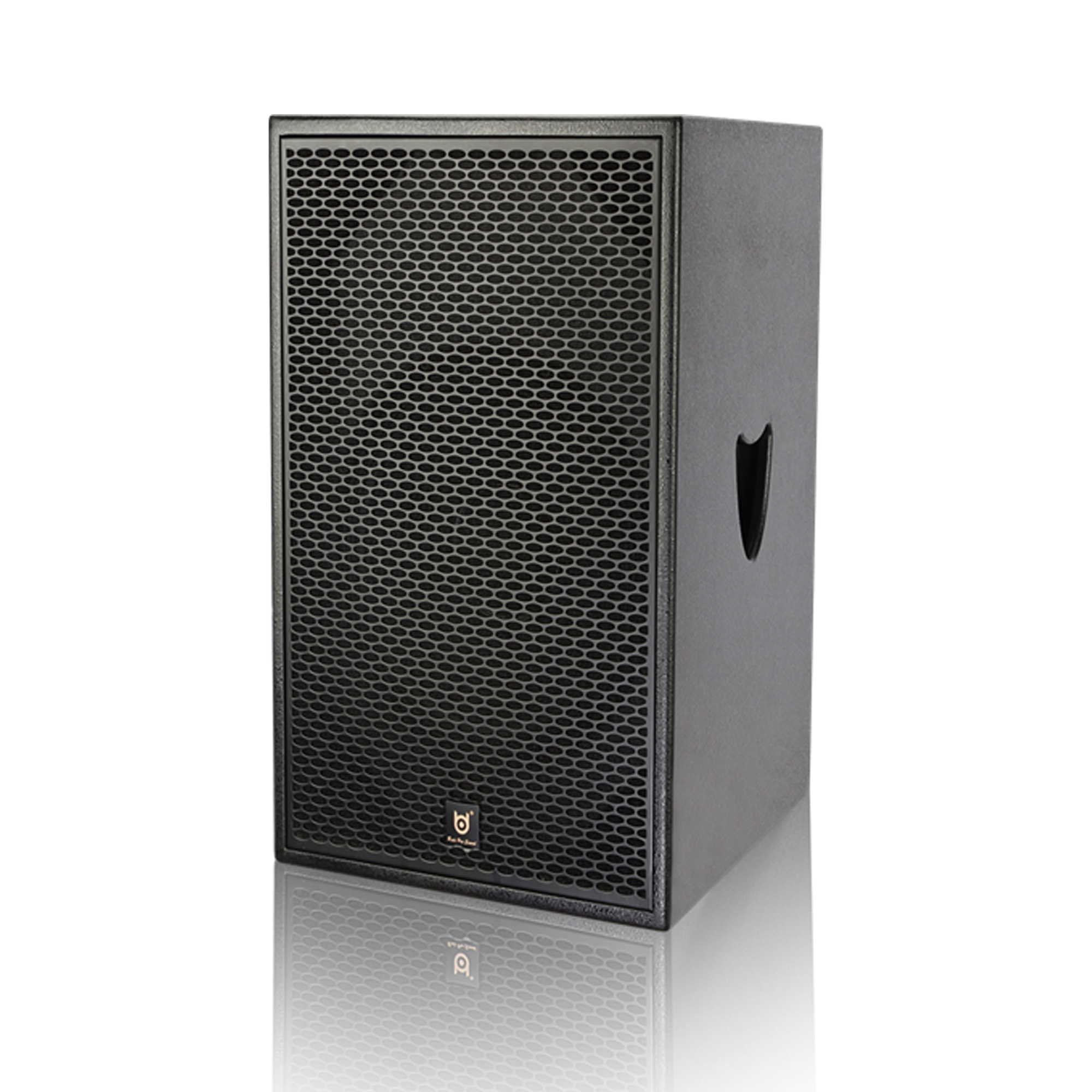 BDSOUND TM-15SUB  Series Single 15 inch  Subwoofer 